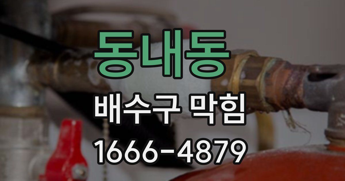 동내동 배수구 막힘