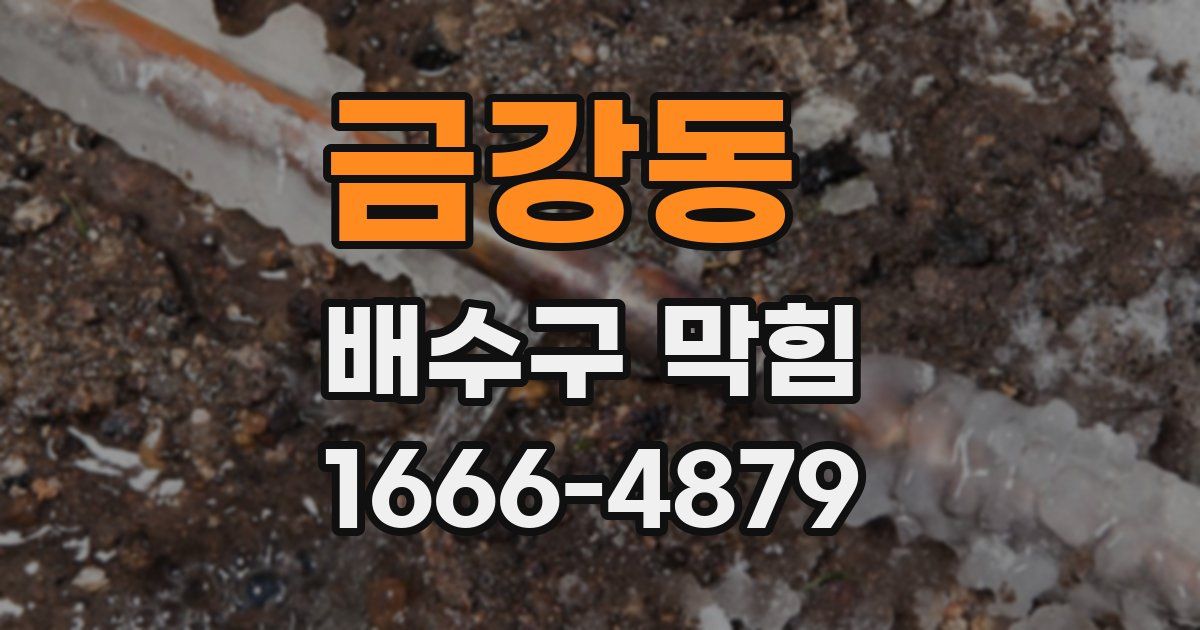 금강동 배수구 막힘