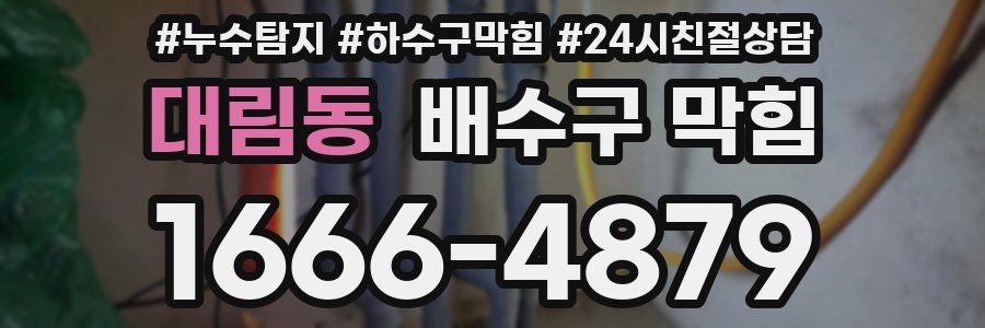대림동 배수구 막힘