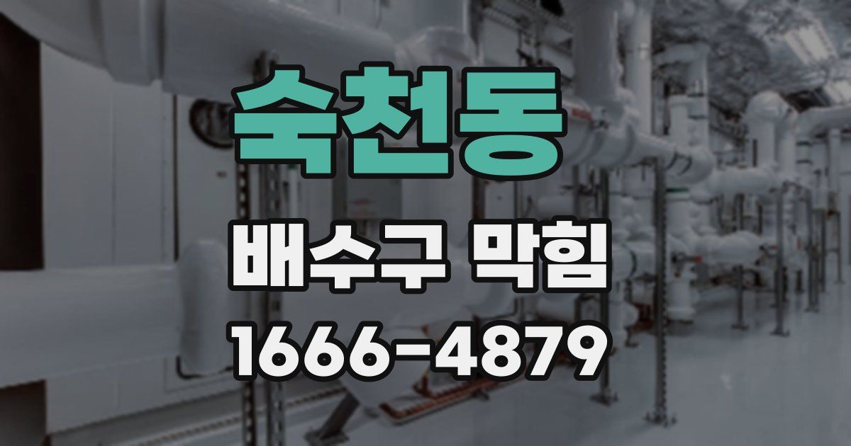 숙천동 배수구 막힘