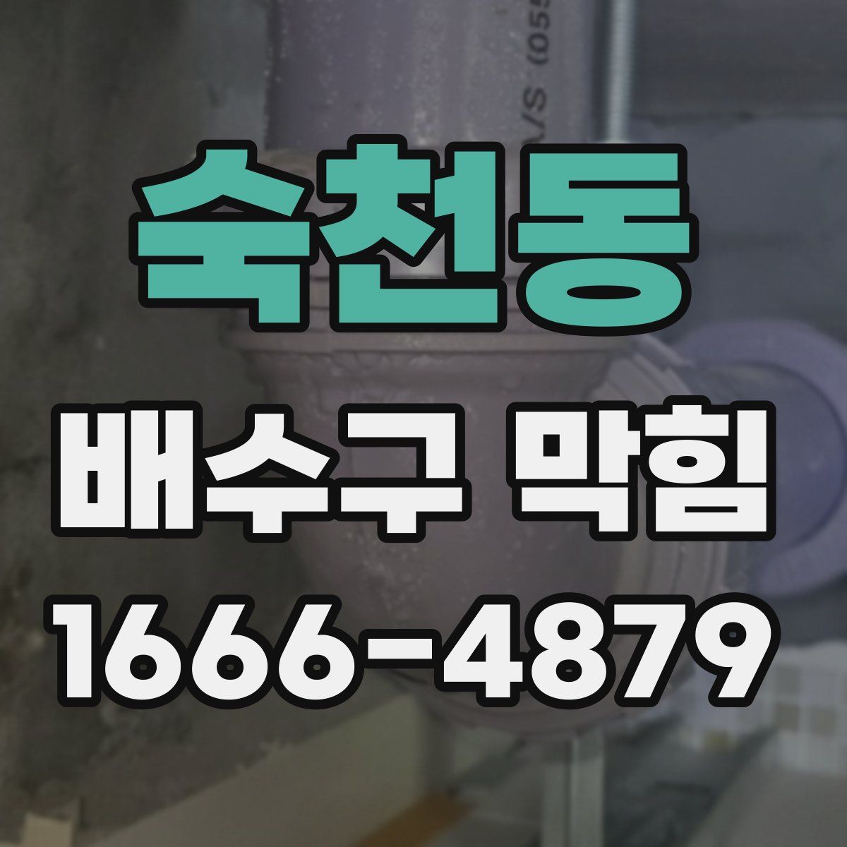 숙천동 배수구 막힘