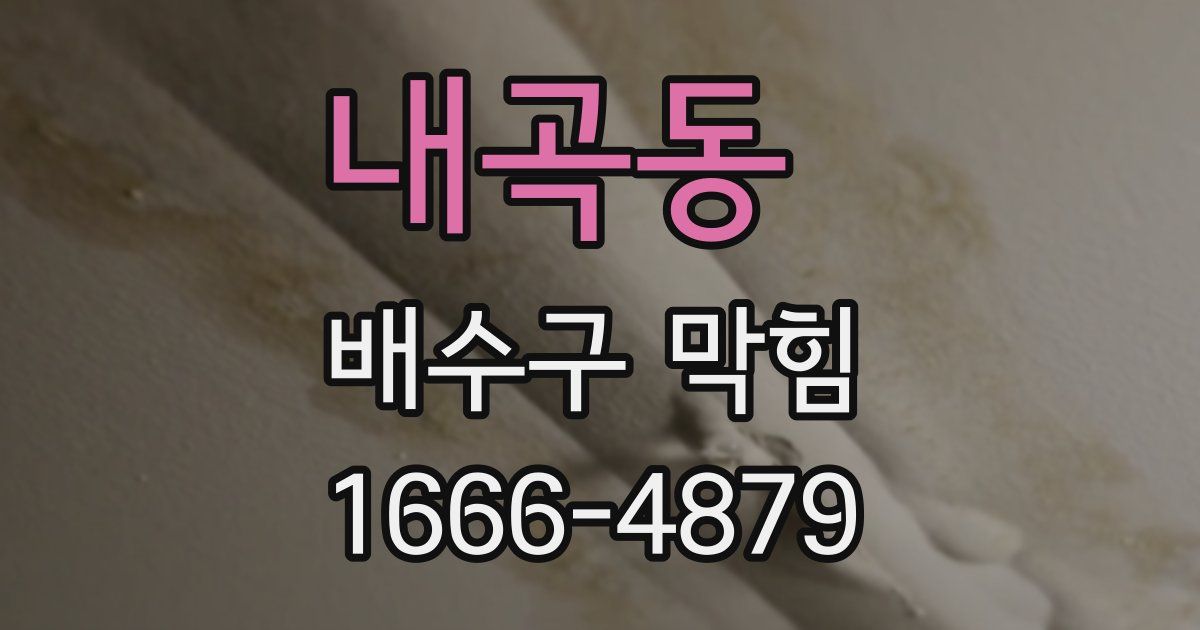 내곡동 배수구 막힘