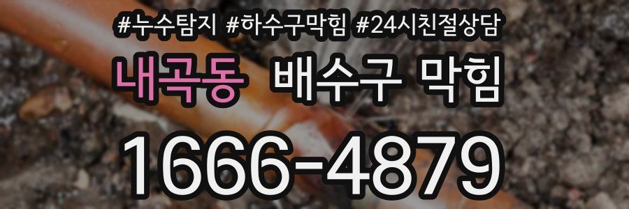 내곡동 배수구 막힘