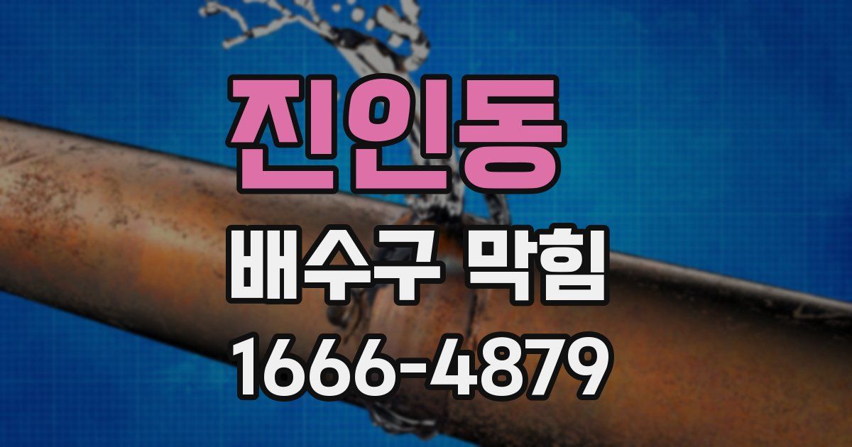 진인동 배수구 막힘