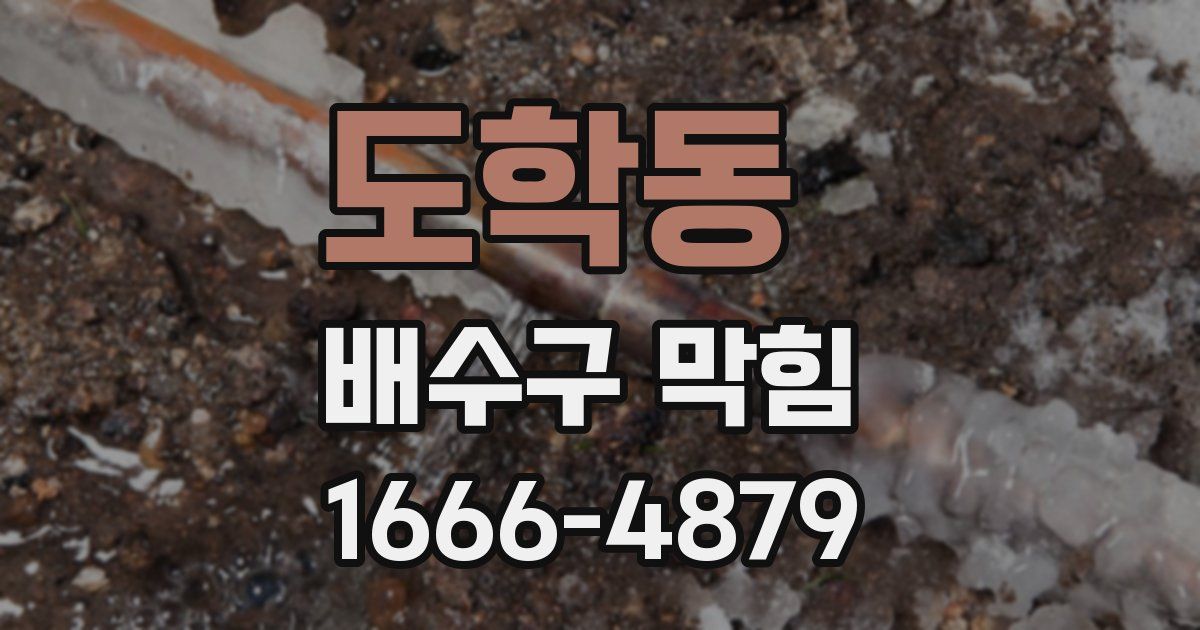 도학동 배수구 막힘