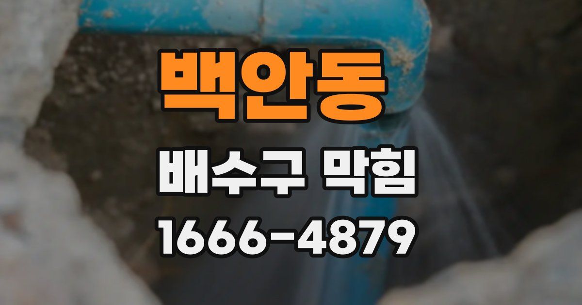 백안동 배수구 막힘