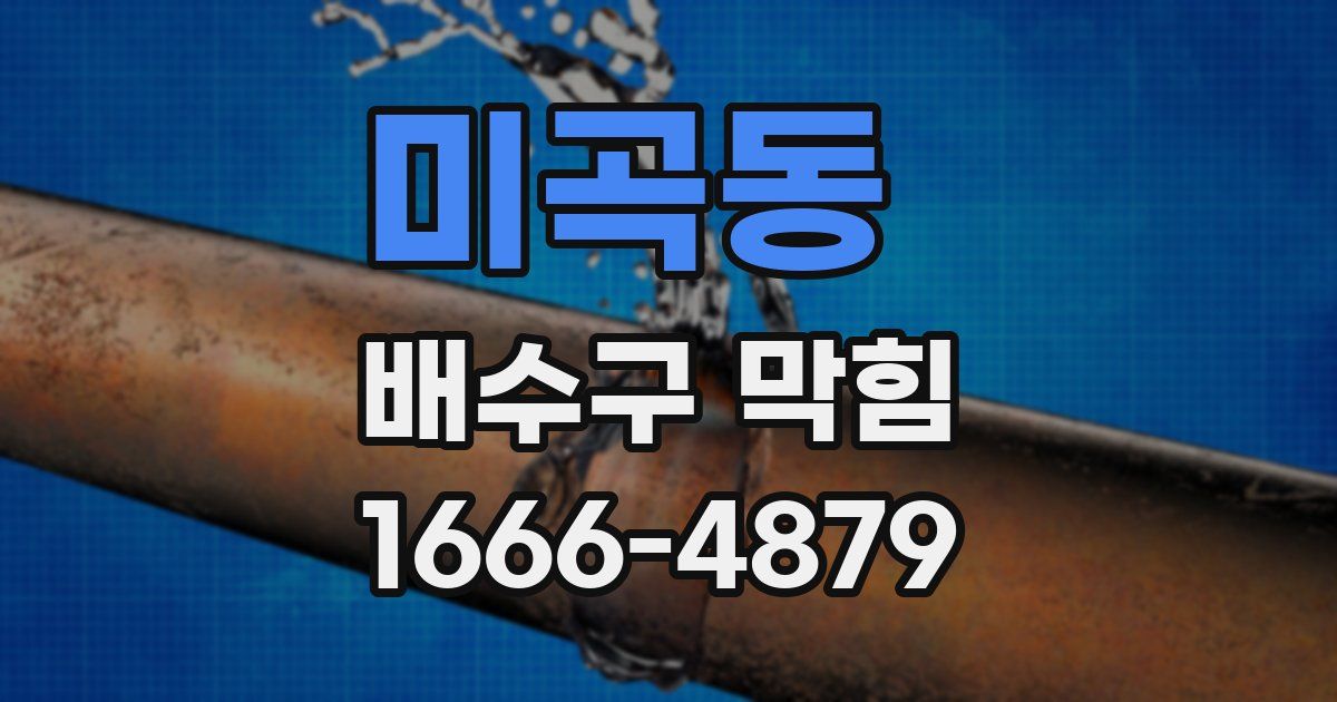 미곡동 배수구 막힘