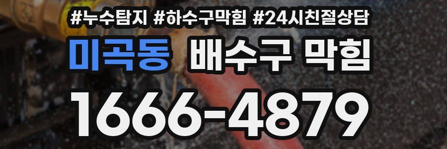 미곡동 배수구 막힘