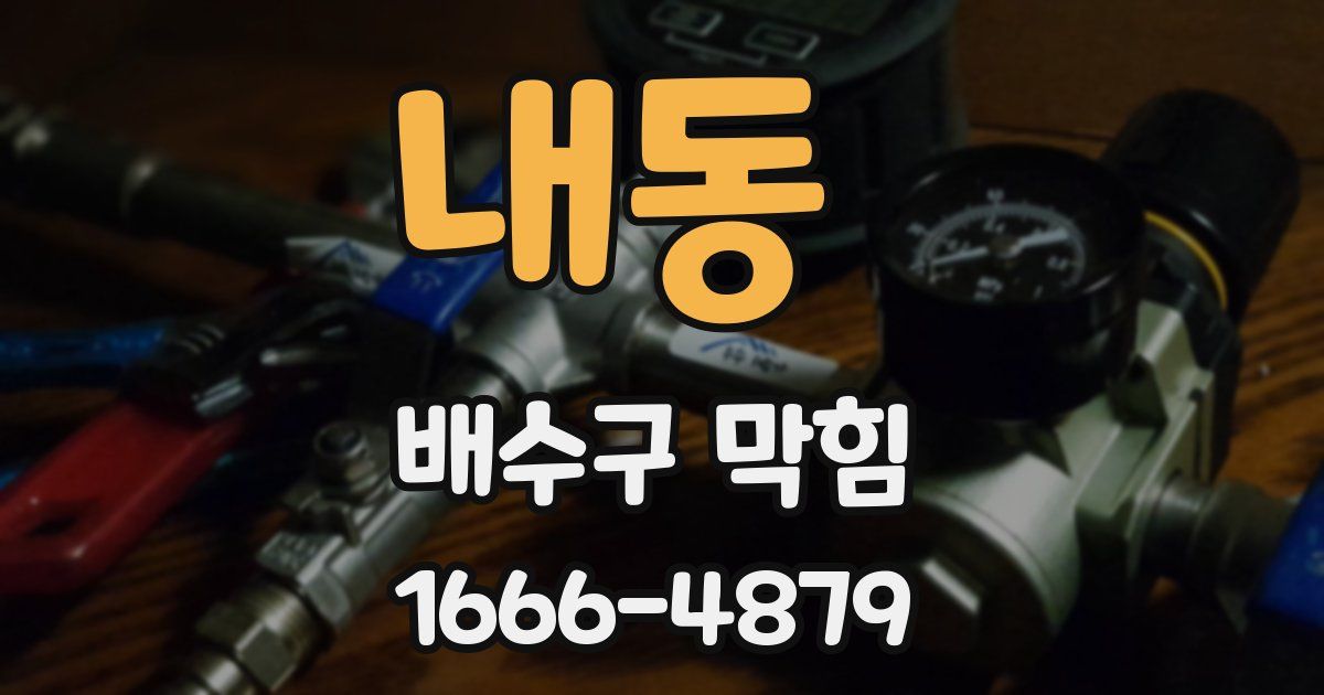 내동 배수구 막힘