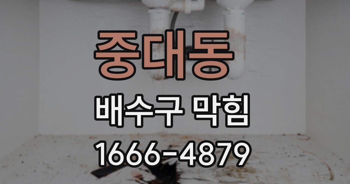 중대동 배수구 막힘