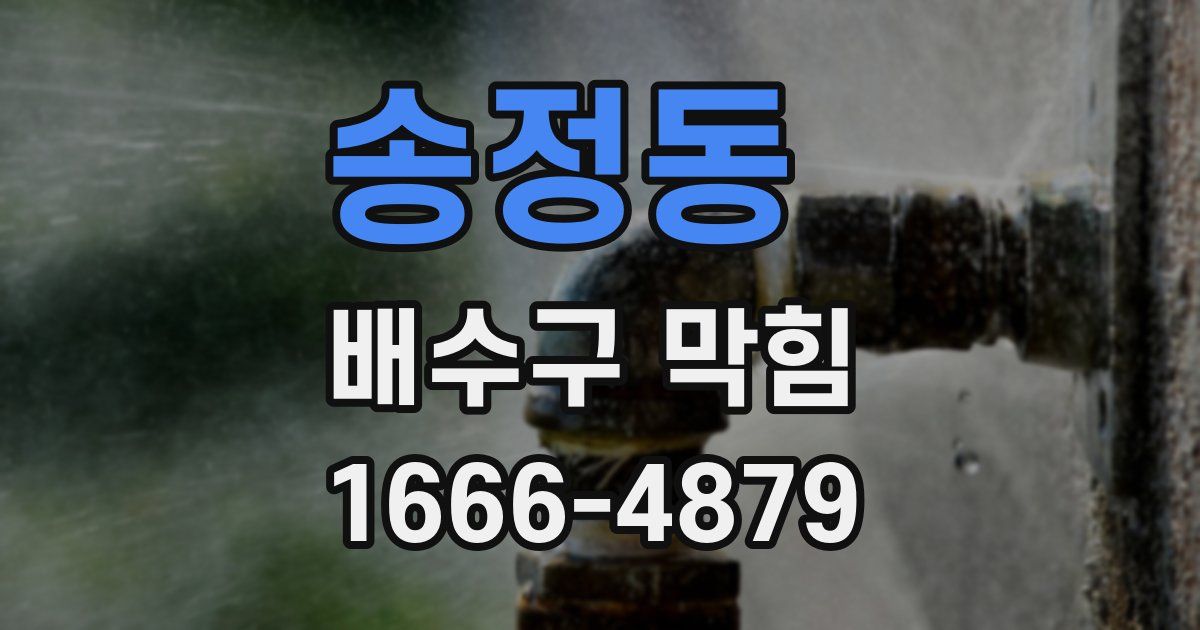송정동 배수구 막힘