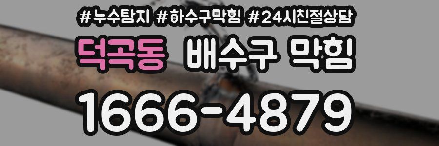 덕곡동 배수구 막힘