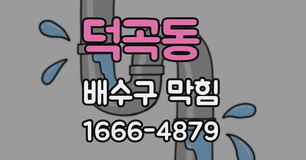 덕곡동 배수구 막힘