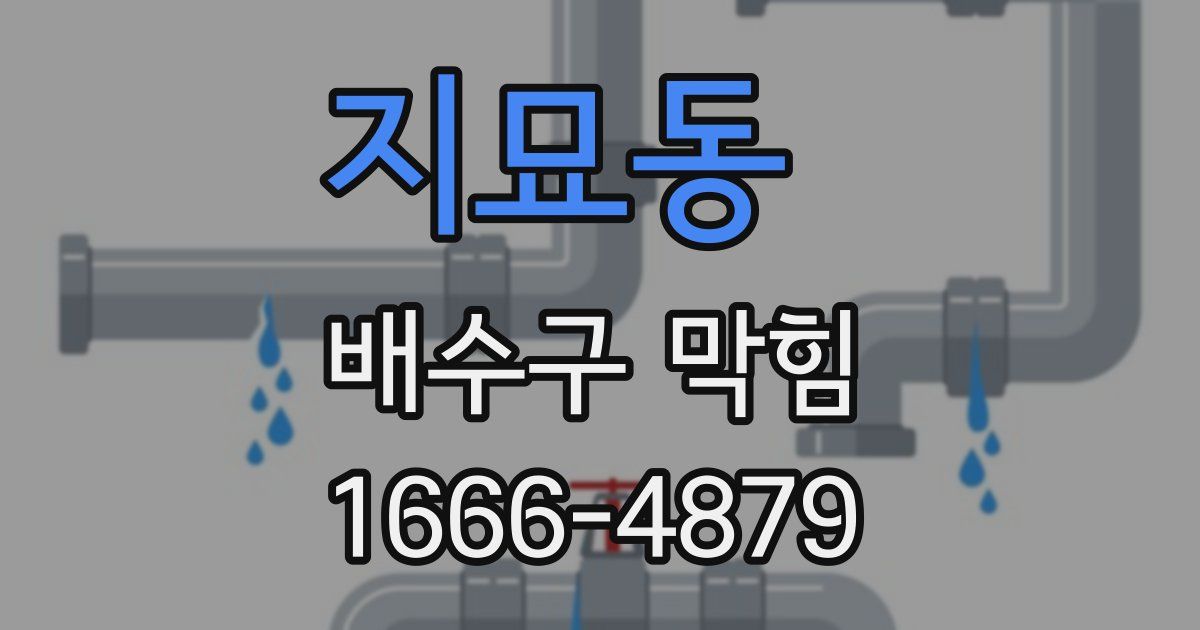지묘동 배수구 막힘