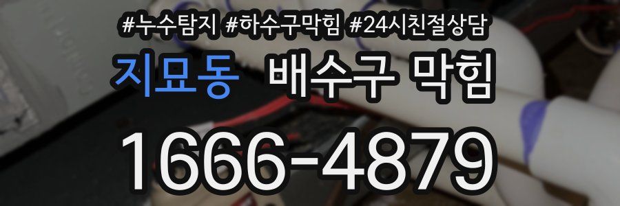 지묘동 배수구 막힘