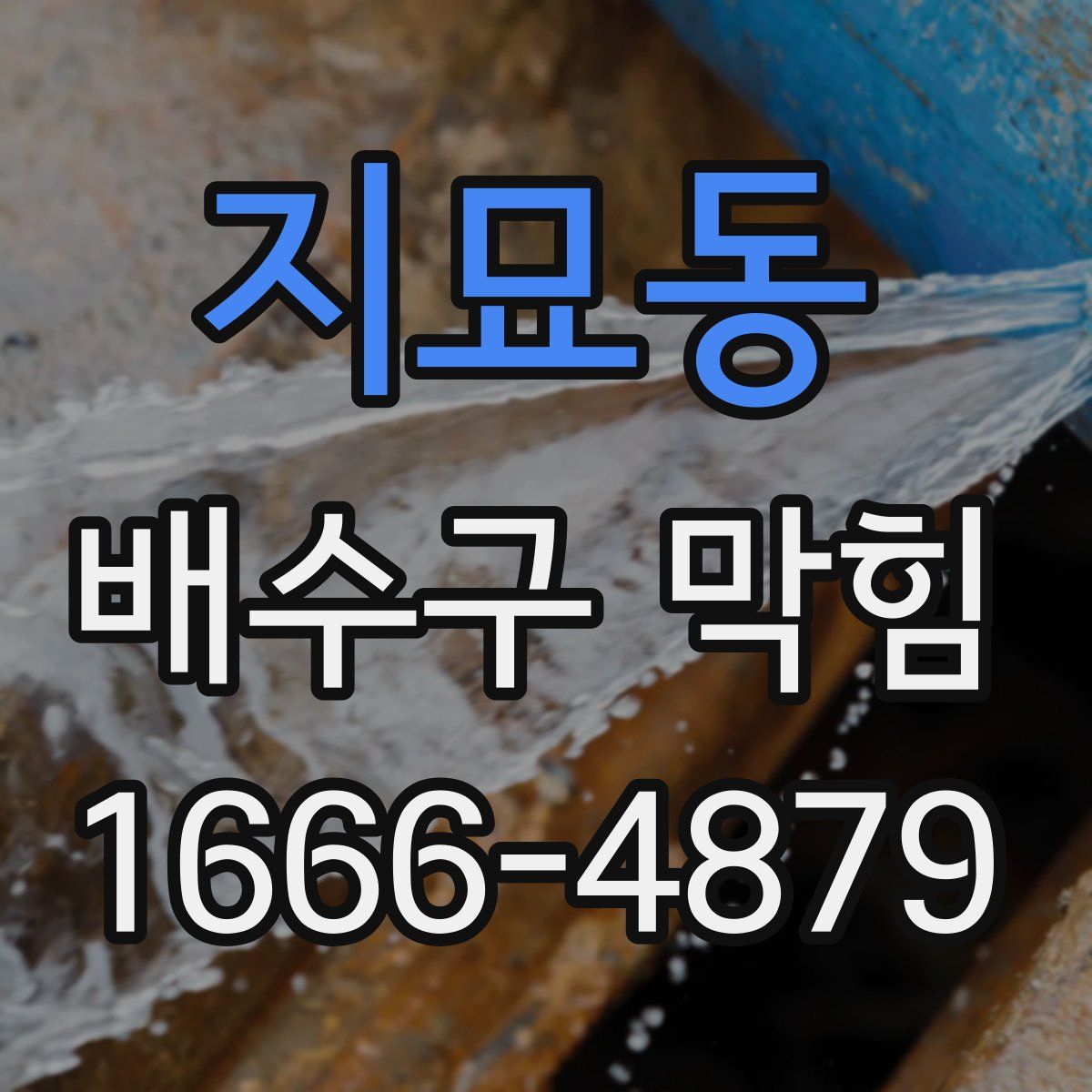 지묘동 배수구 막힘