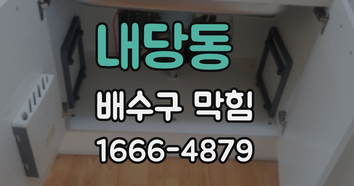 내당동 배수구 막힘