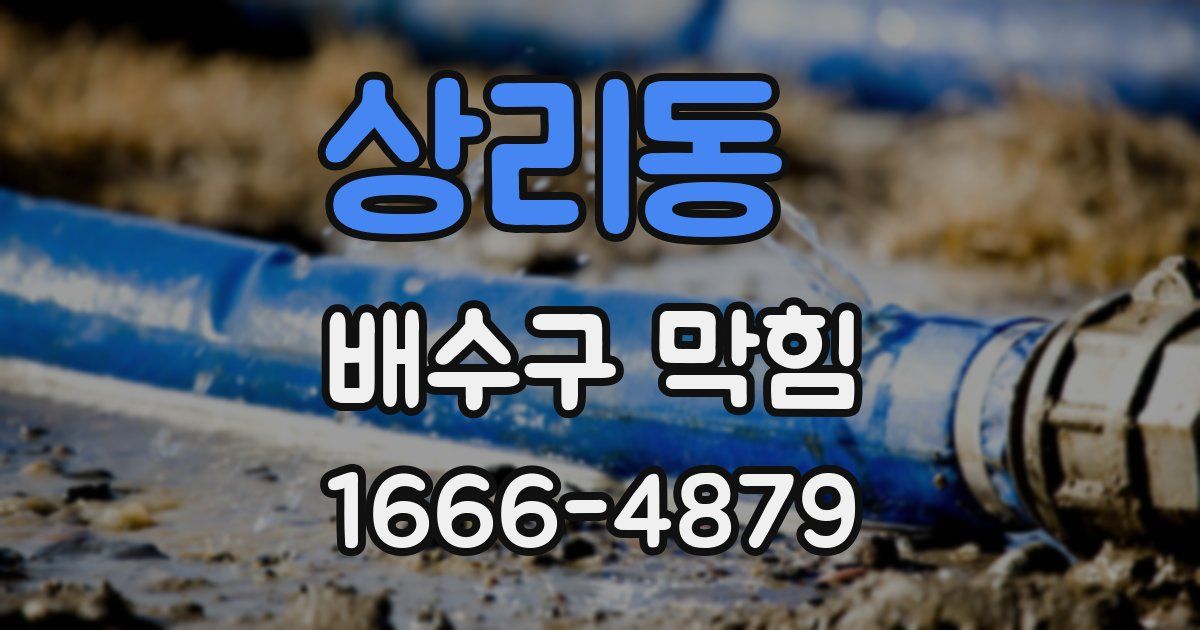 상리동 배수구 막힘