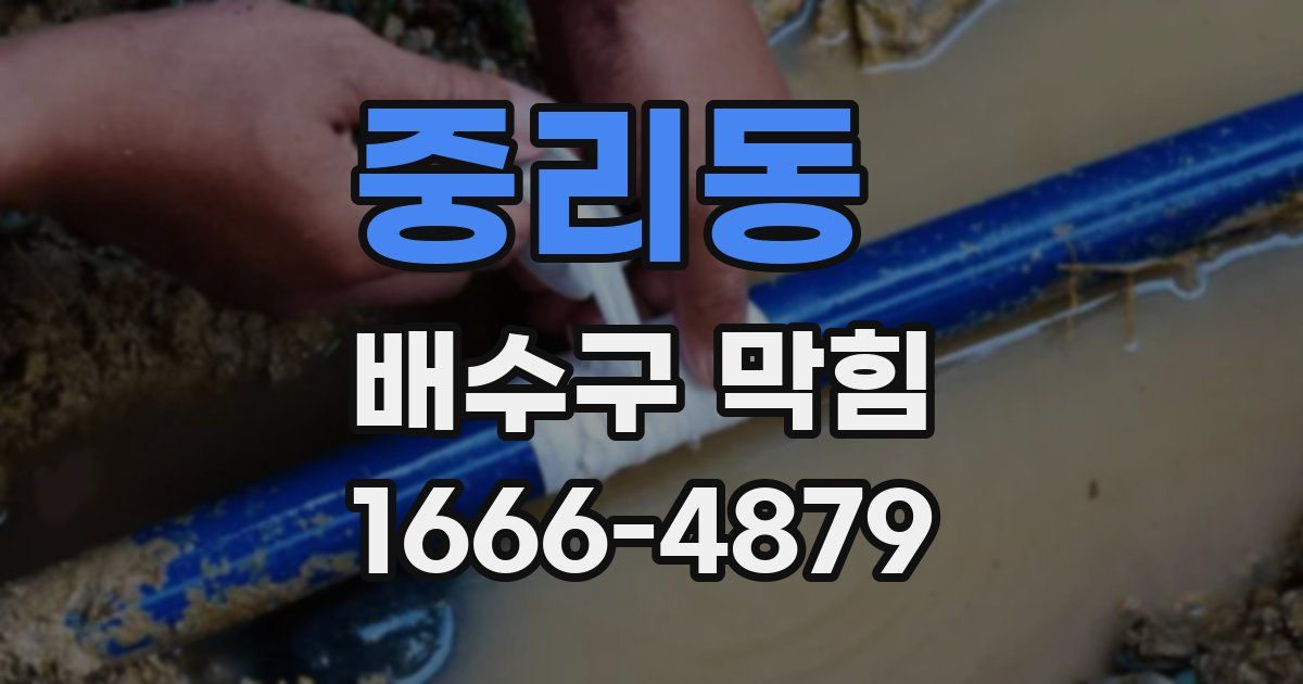 중리동 배수구 막힘