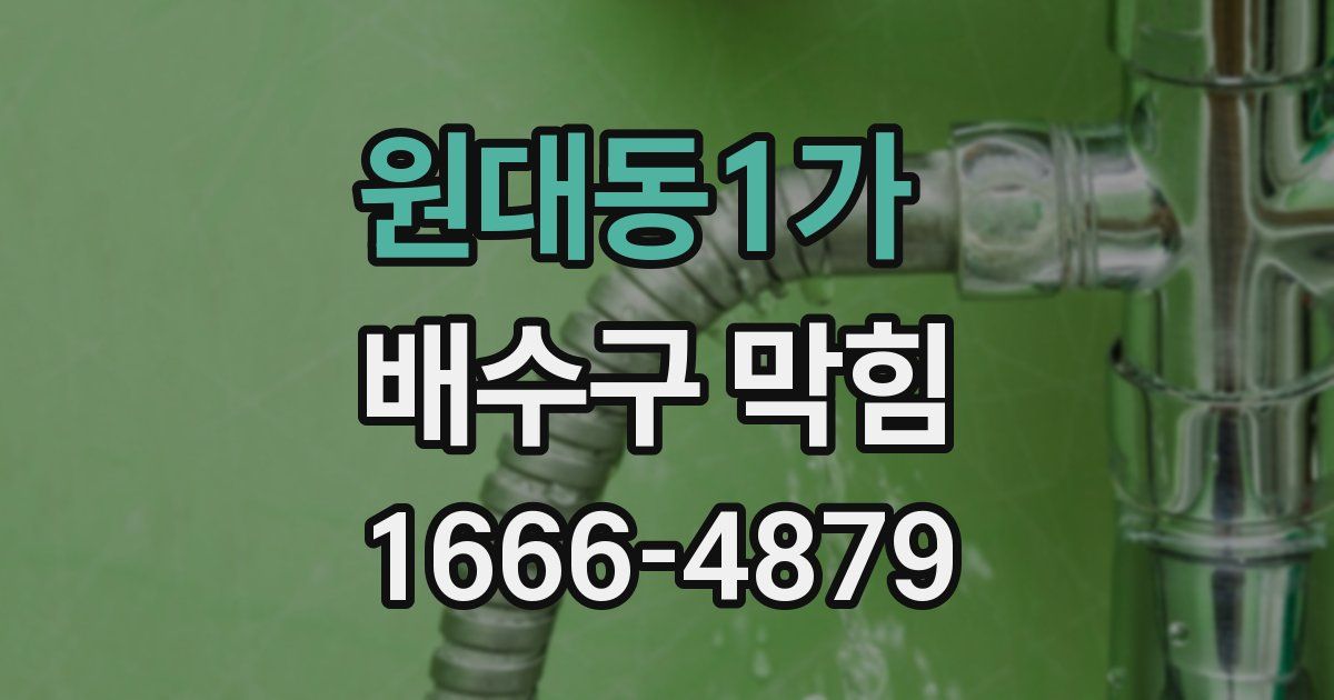 원대동1가 배수구 막힘