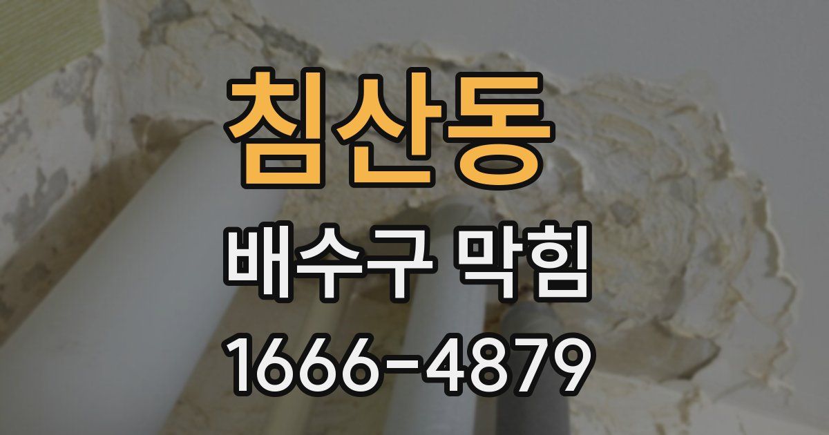 침산동 배수구 막힘