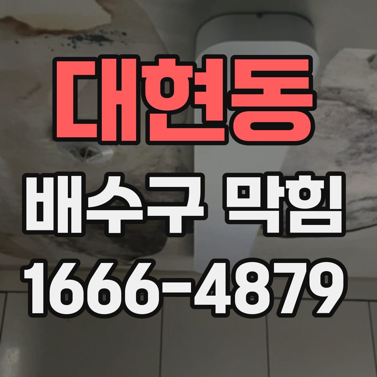 대현동 배수구 막힘