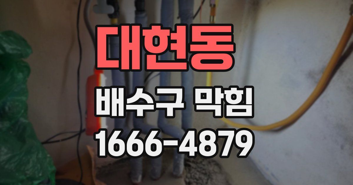 대현동 배수구 막힘