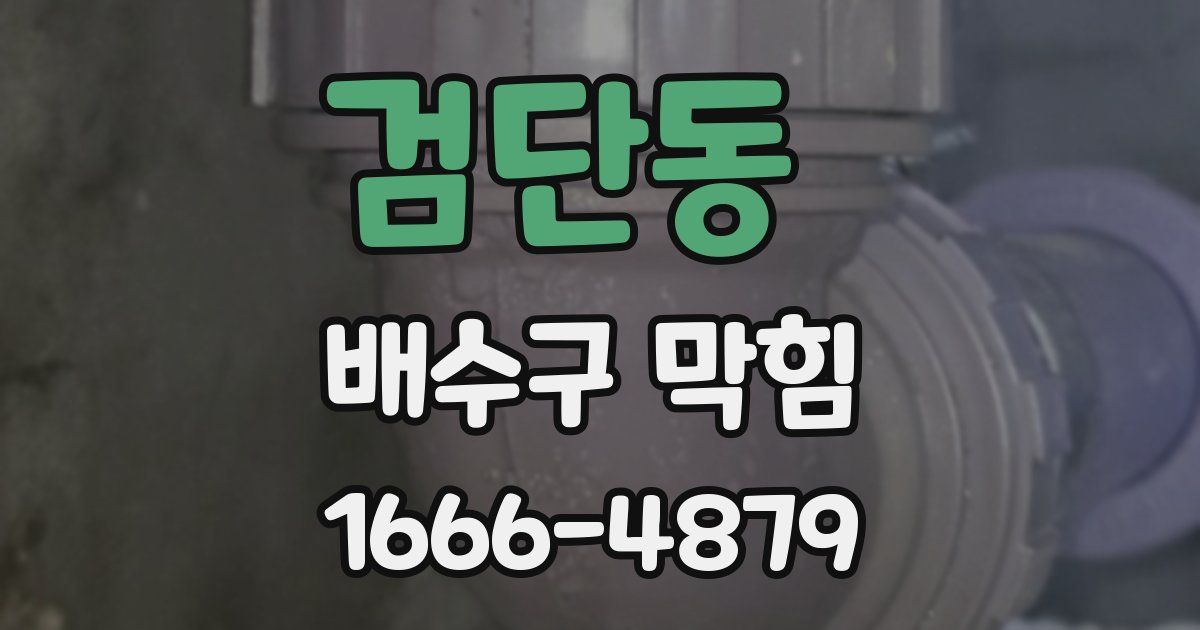 검단동 배수구 막힘