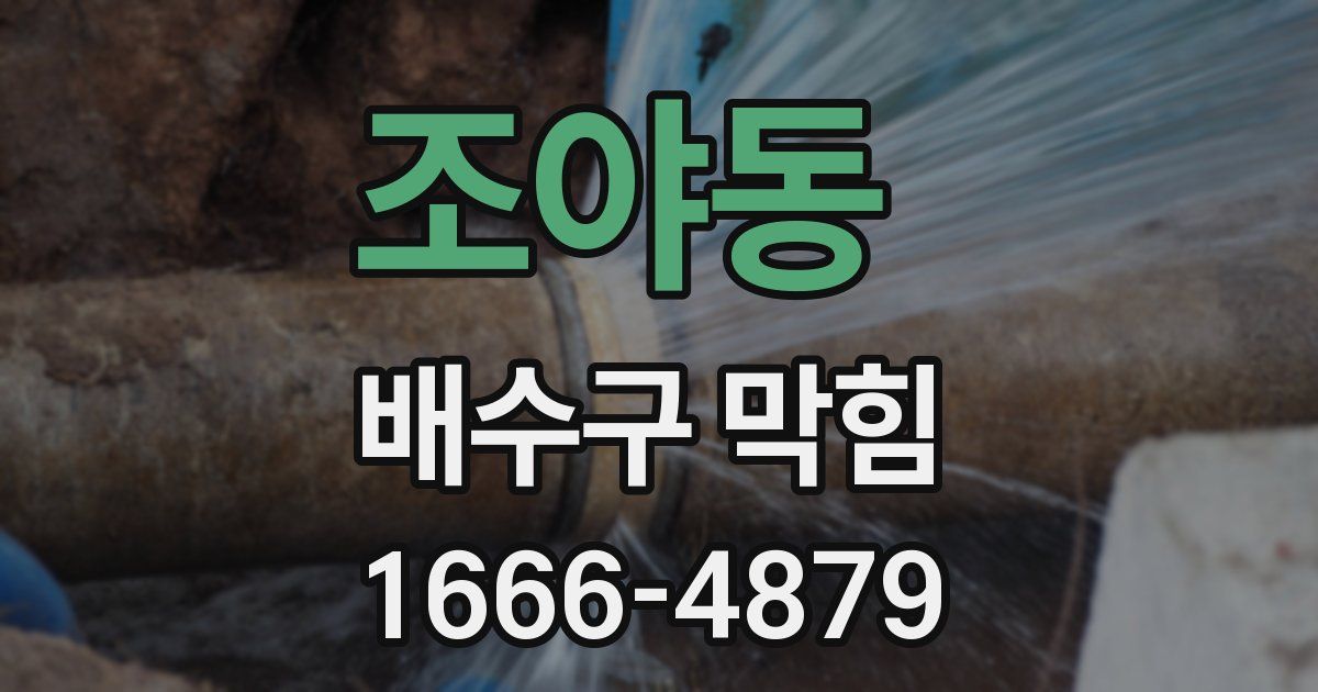 조야동 배수구 막힘