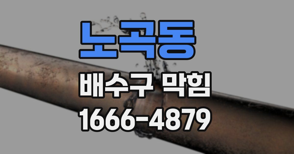 노곡동 배수구 막힘