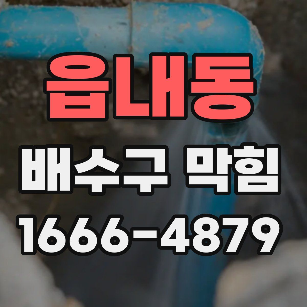 읍내동 배수구 막힘