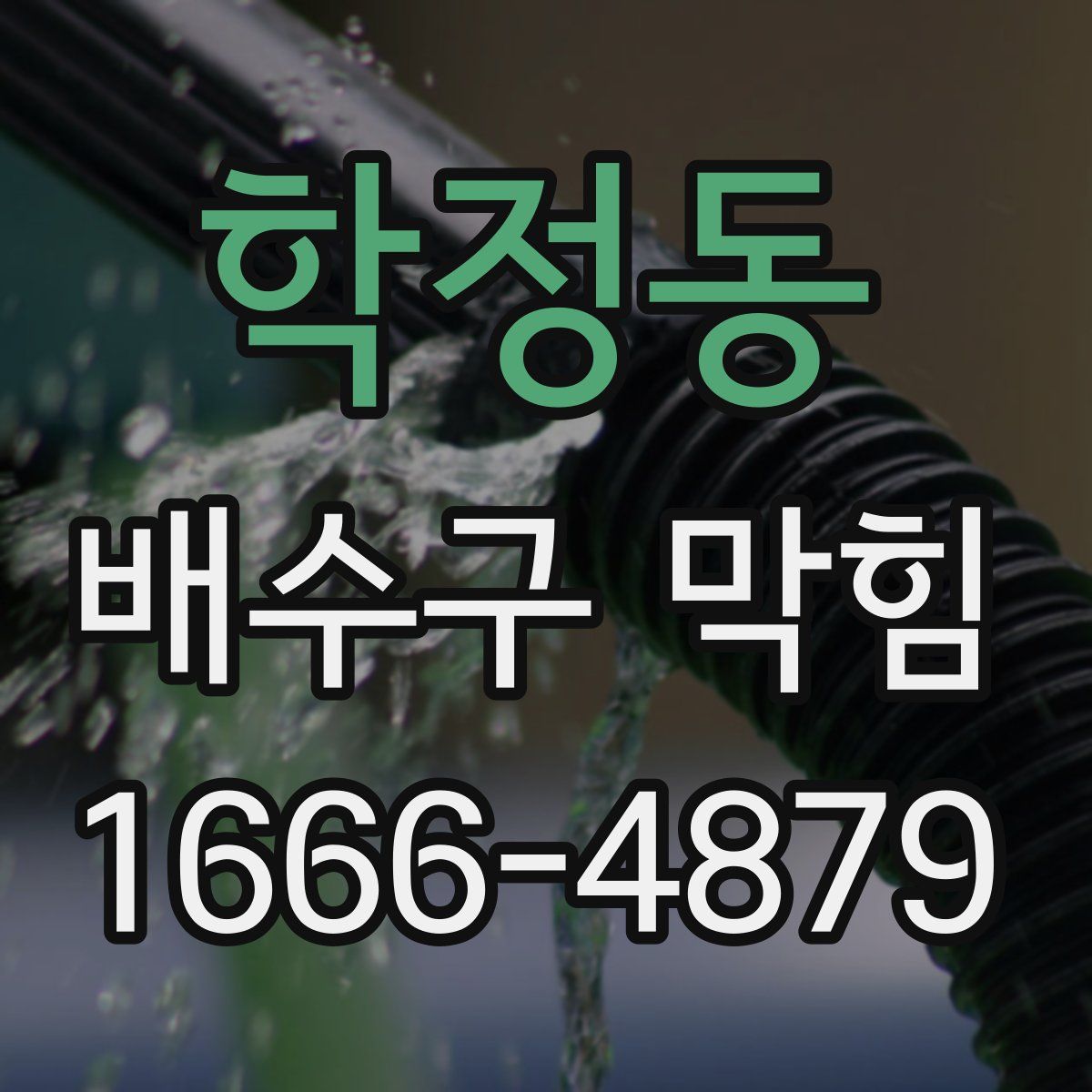 학정동 배수구 막힘