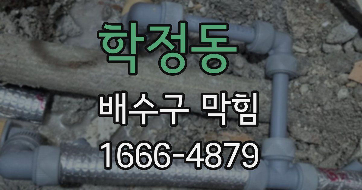 학정동 배수구 막힘
