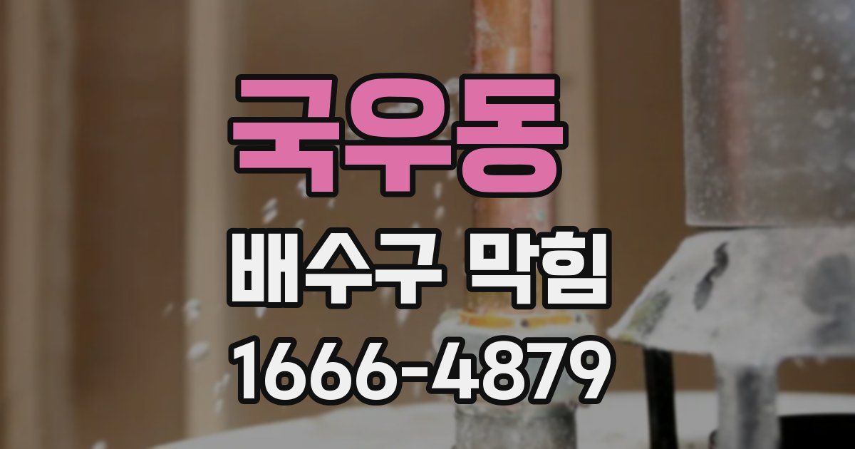 국우동 배수구 막힘
