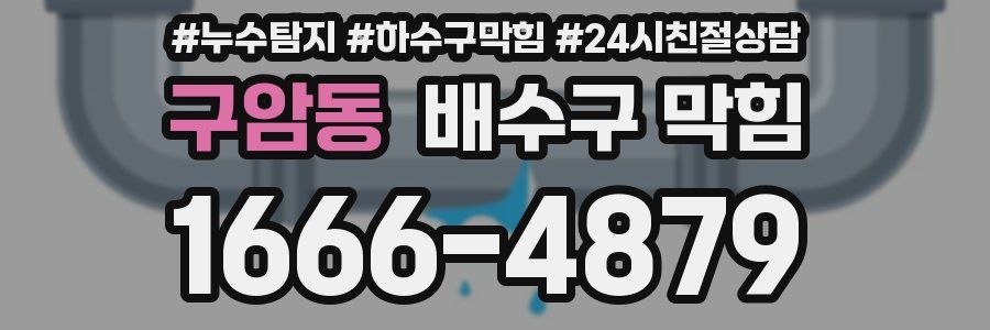구암동 배수구 막힘