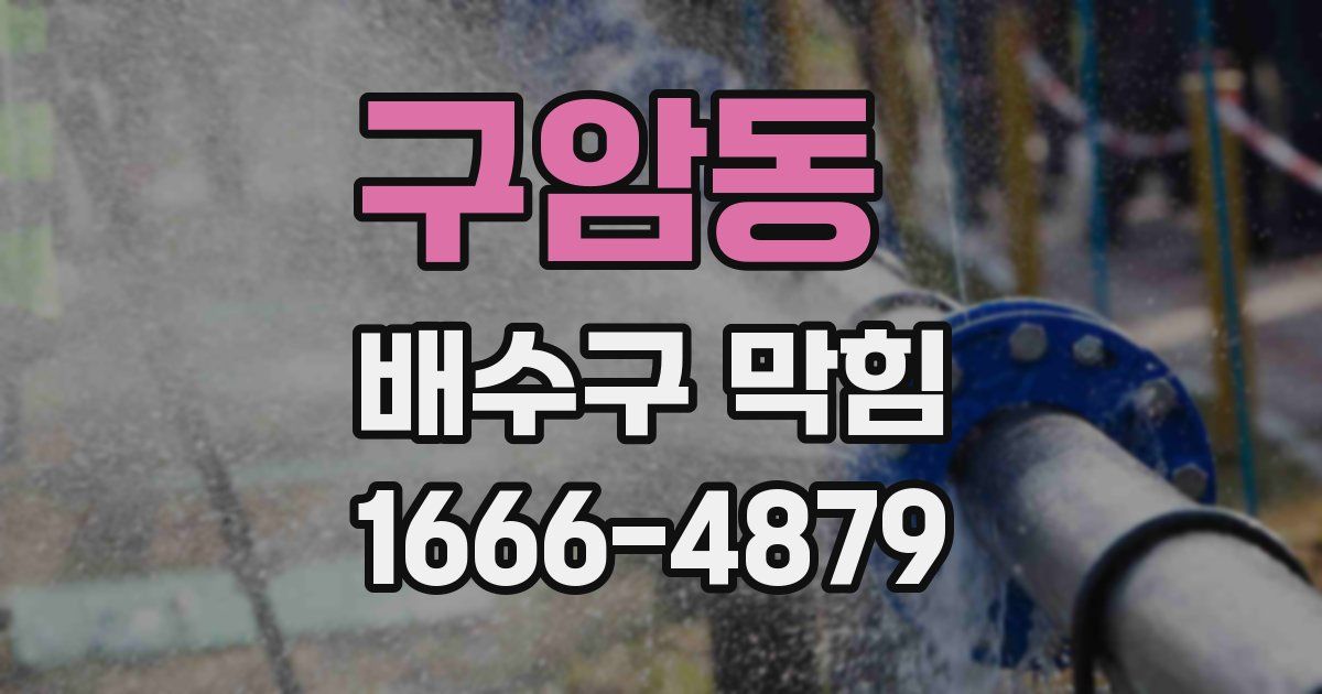 구암동 배수구 막힘