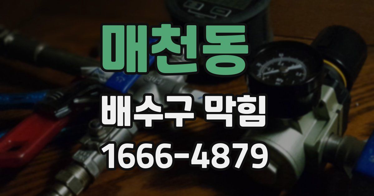 매천동 배수구 막힘