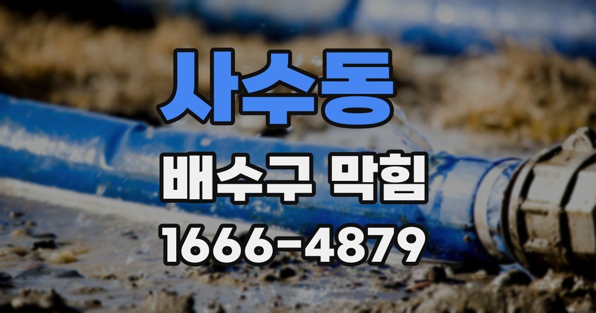 사수동 배수구 막힘