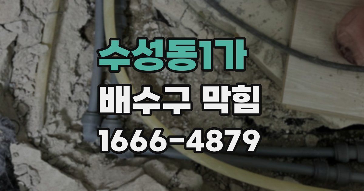 수성동1가 배수구 막힘