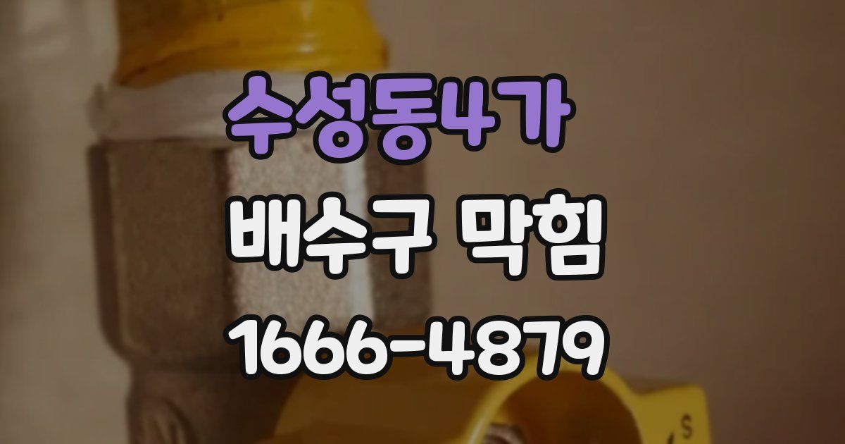 수성동4가 배수구 막힘