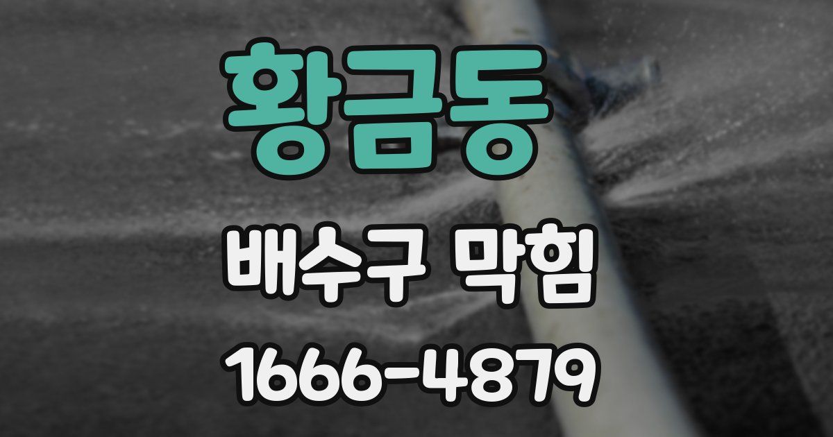 황금동 배수구 막힘