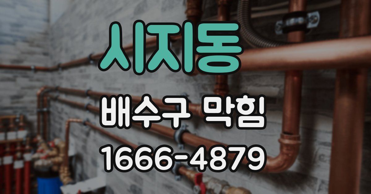 시지동 배수구 막힘