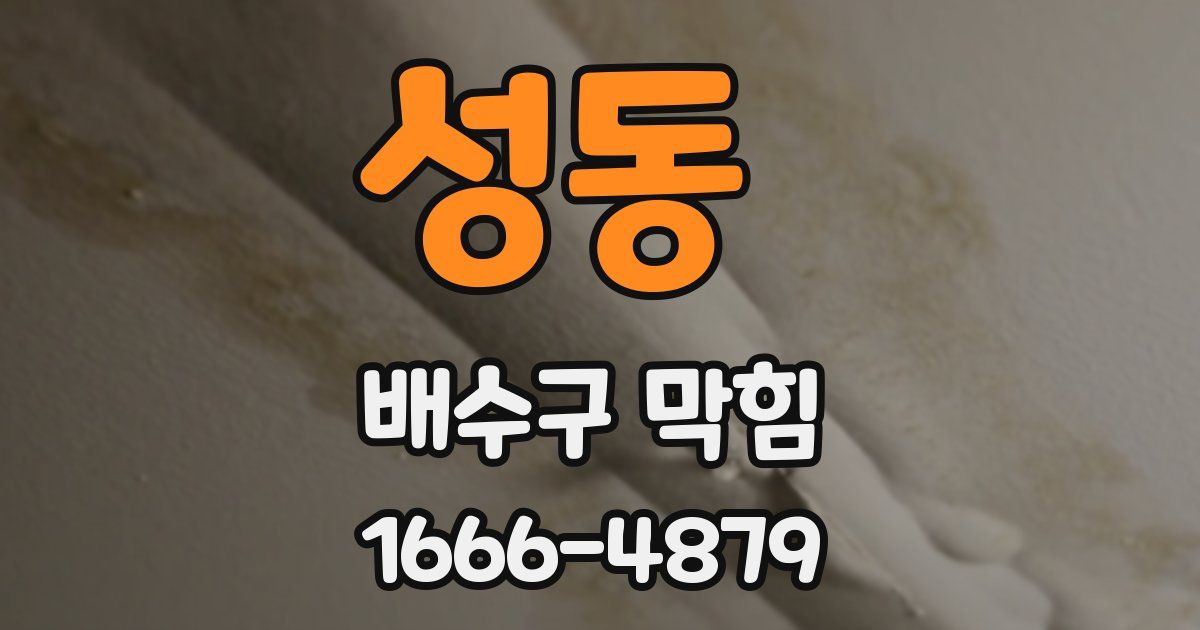 성동 배수구 막힘