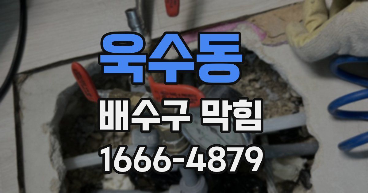 욱수동 배수구 막힘