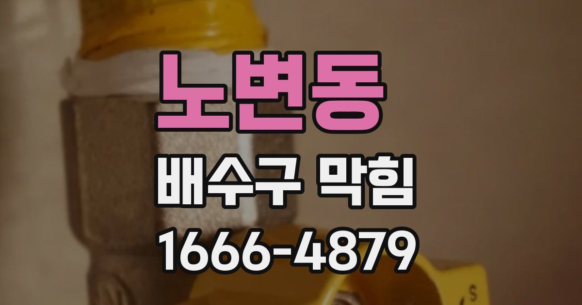 노변동 배수구 막힘