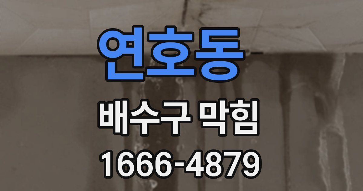 연호동 배수구 막힘