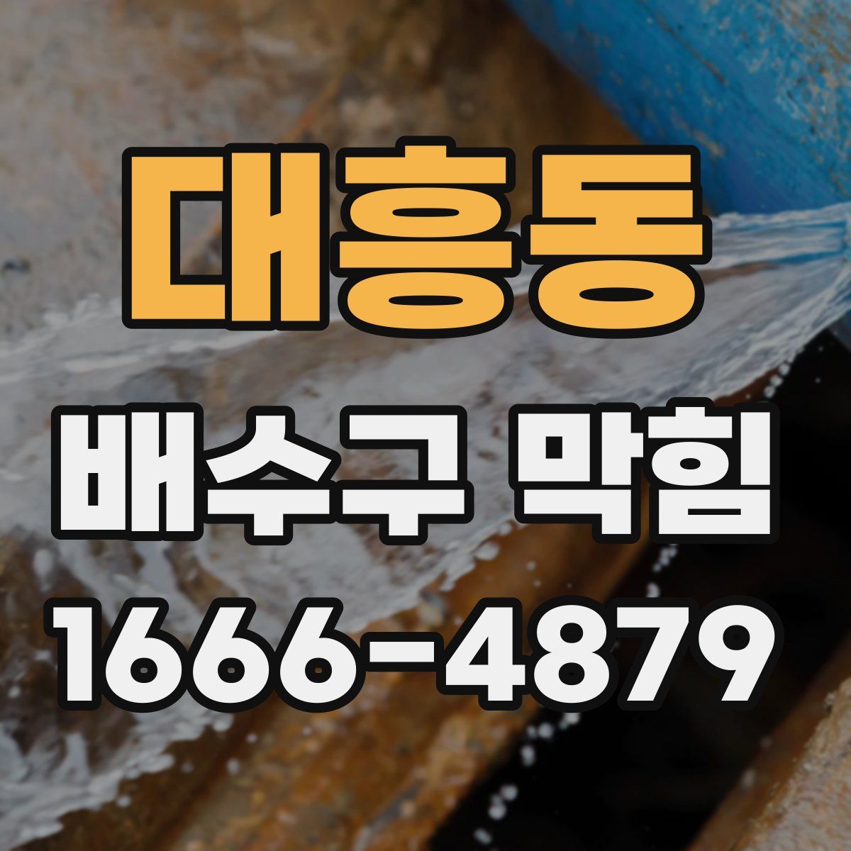 대흥동 배수구 막힘