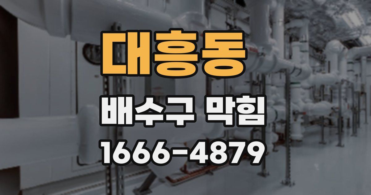대흥동 배수구 막힘