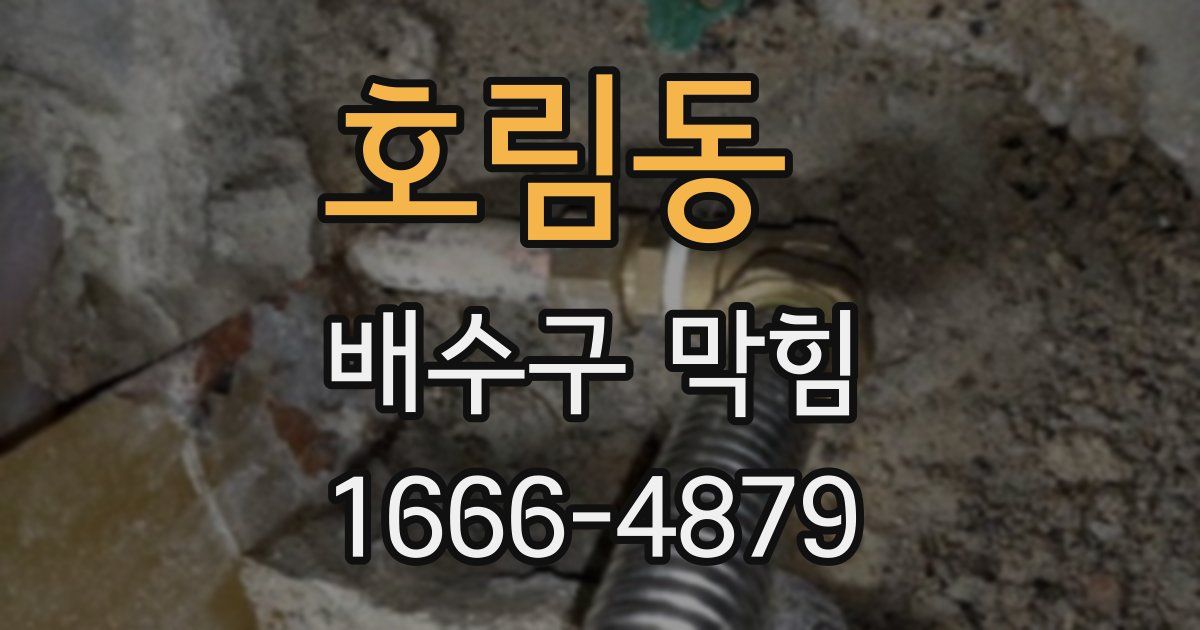 호림동 배수구 막힘