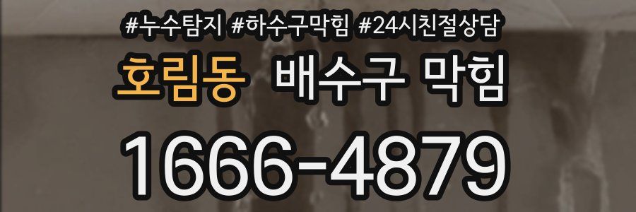 호림동 배수구 막힘